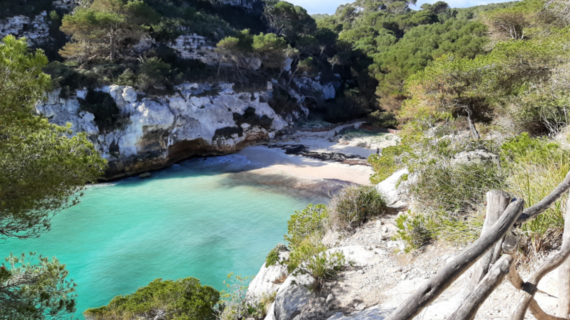 La vida natural de Menorca
